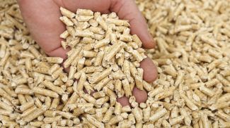 Фото Министерства лесного хозяйства