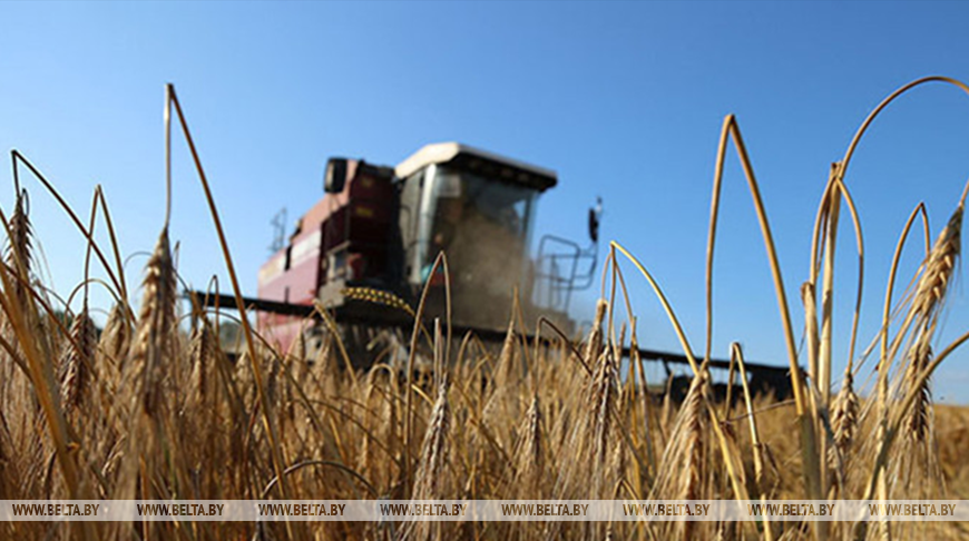 Фото из архива