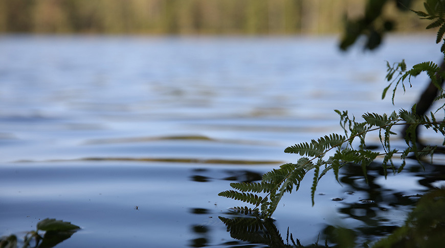 Фото из архива