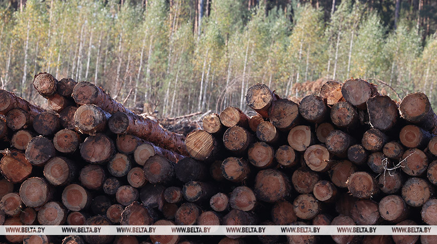 Фото из архива