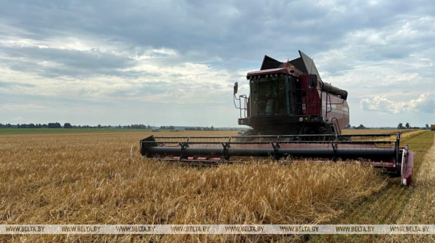 Фото из архива