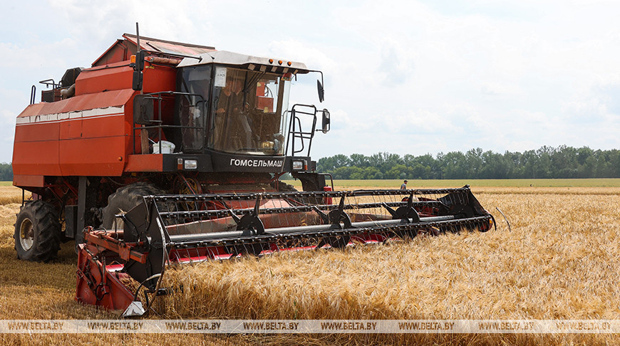 Фото из архива