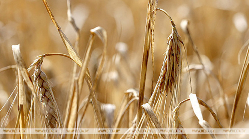 Фото из архива