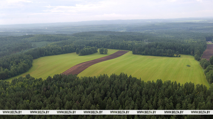 Фото из архива