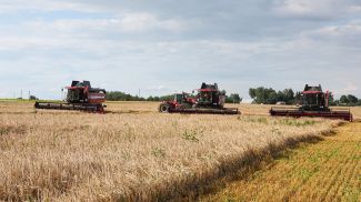 Фото из архива