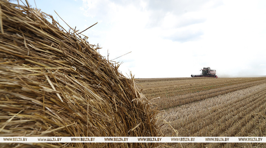 Фото из архива