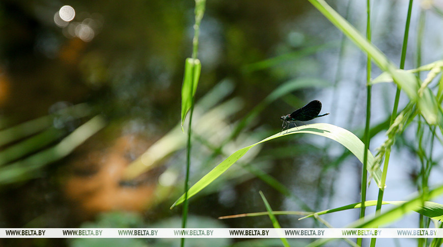 Фото из архива