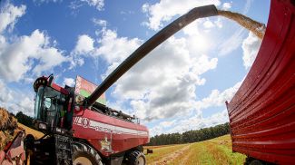 Фото из архива