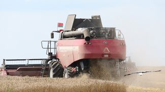 Фото из архива