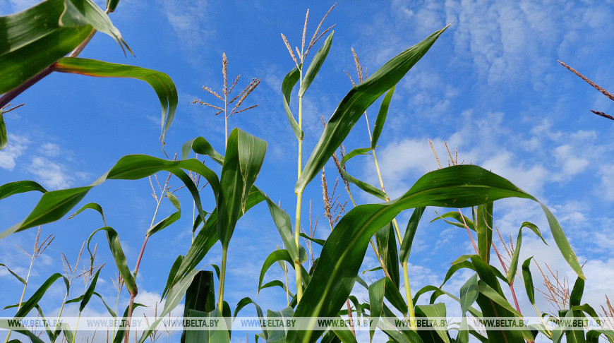 Фото из архива