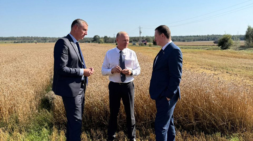 Фото пресс-службы правительства