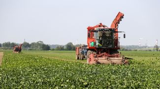 Фото из архива