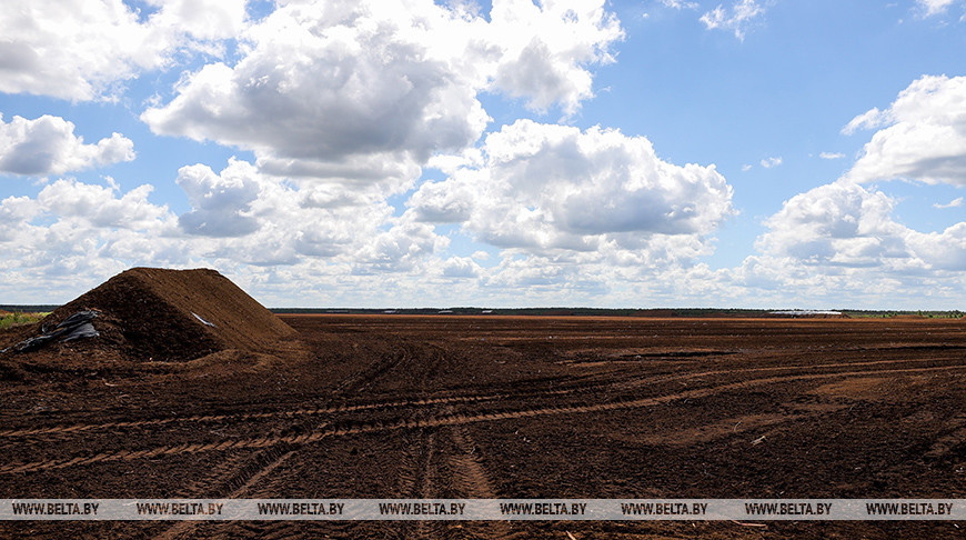 Фото из архива