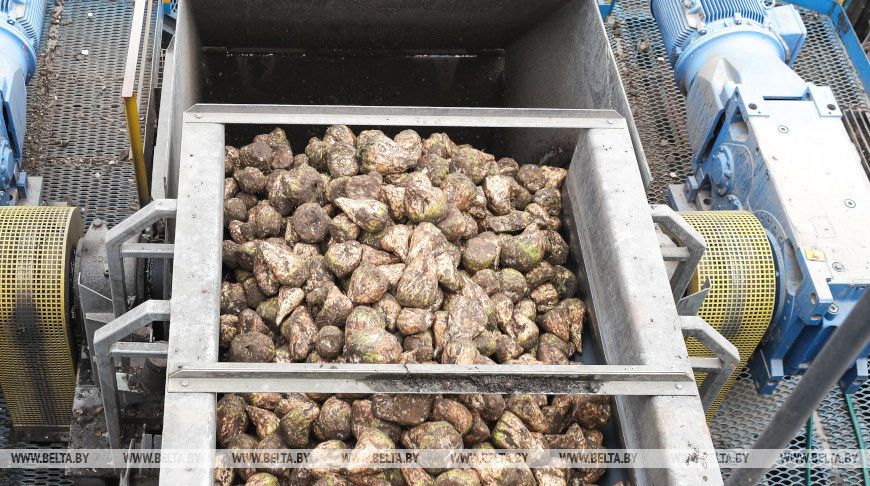 Фото из архива