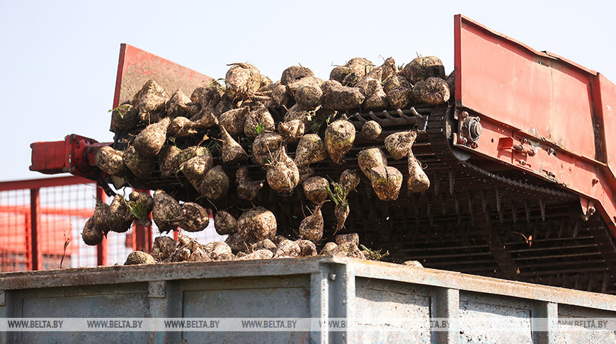 Фото из архива