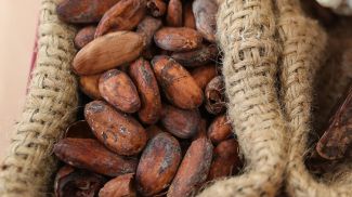 Фото из архива