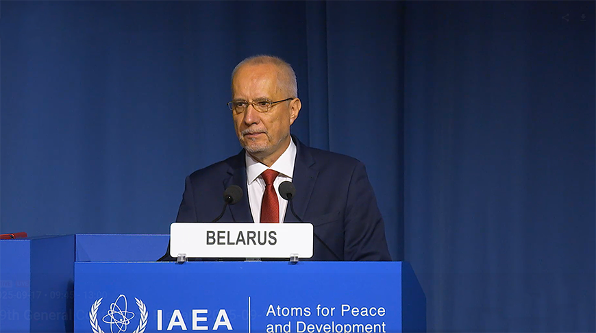 Андрей Дапкюнас. Скриншот видео iaea.org