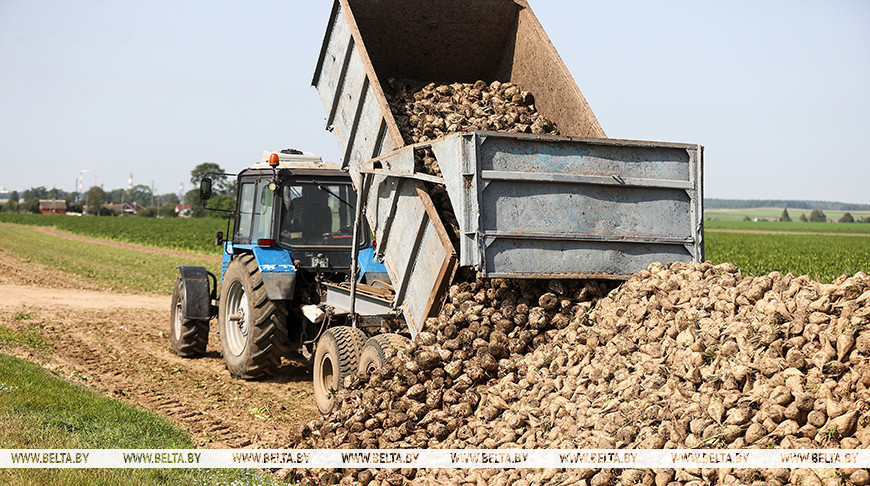 Фото из архива