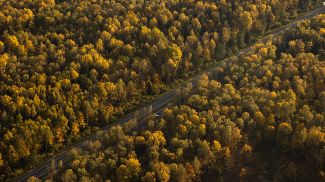 Фото из архива