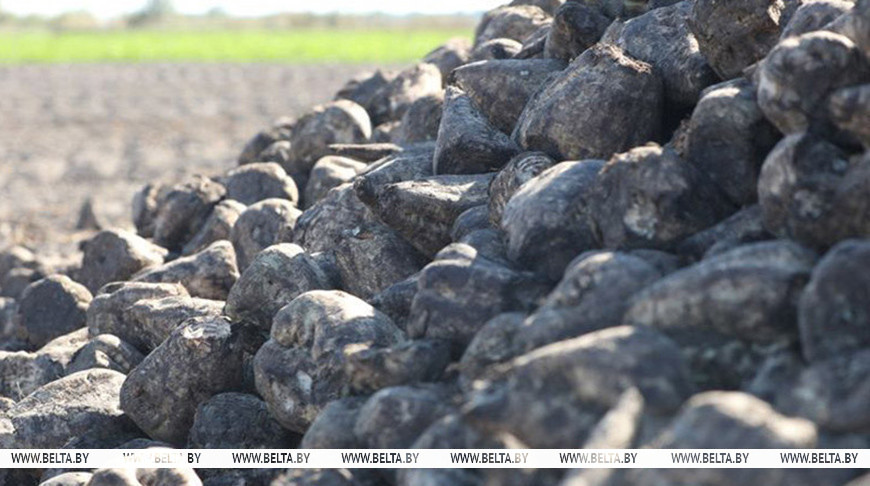 Фото из архива