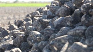 Фото из архива