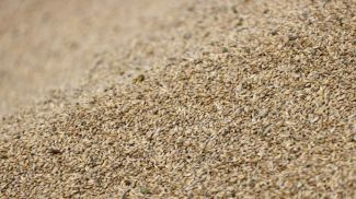 Фото из архива