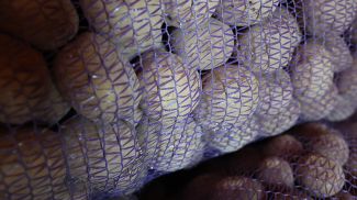 Фото из архива