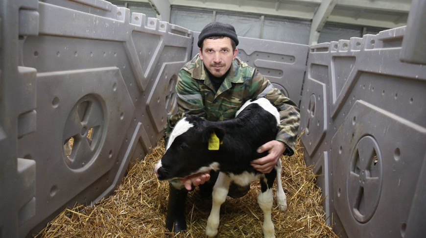 Фото plemzavod-ross.by