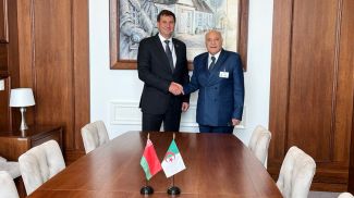 Максим Рыженков и Ахмед Аттаф. Фото МИД