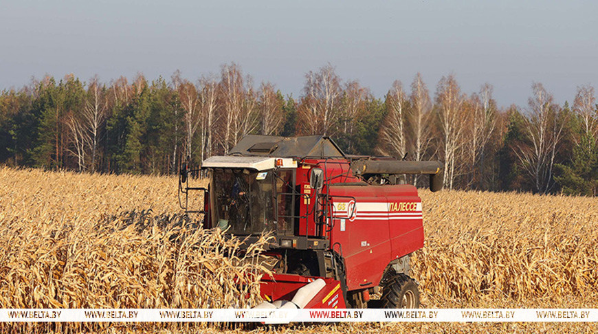 Фото из архива