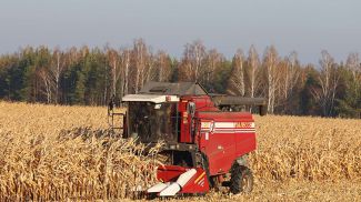 Фото из архива