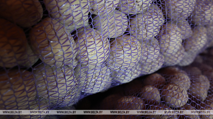 Фото из архива