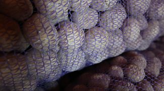 Фото из архива