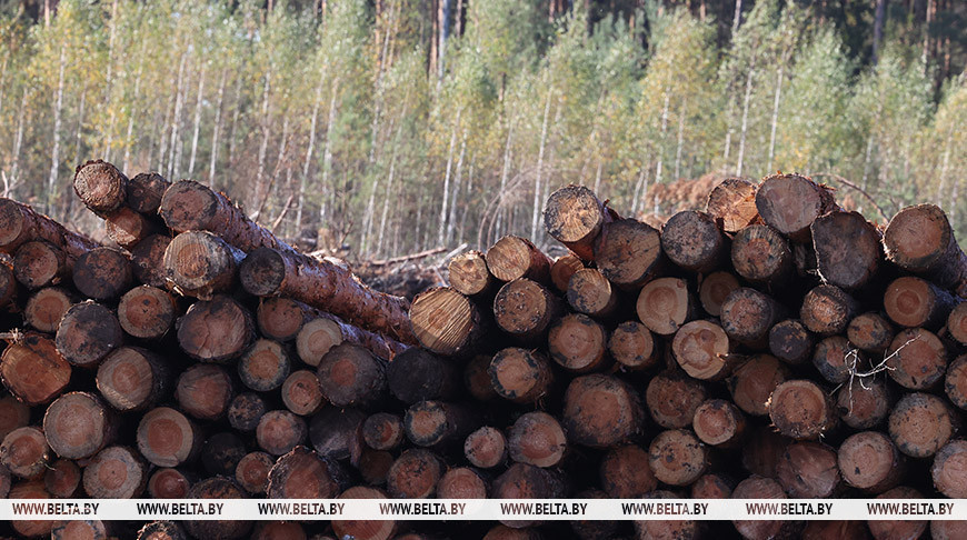 Фото из архива