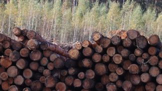 Фото из архива