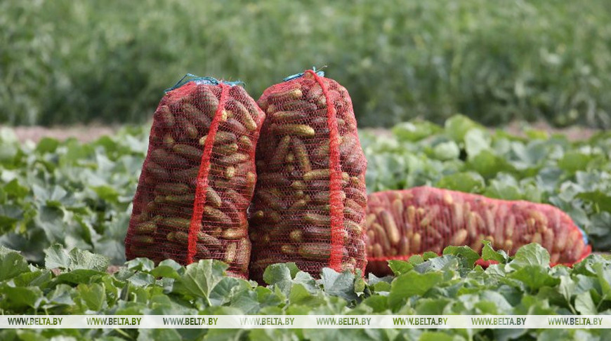 Фото из архива