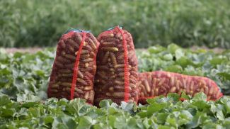 Фото из архива