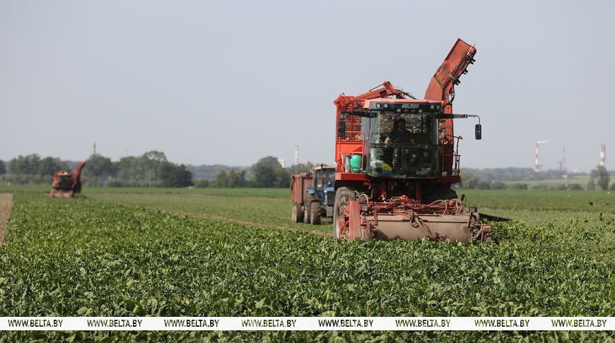 Фото из архива