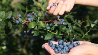 Фото из архива