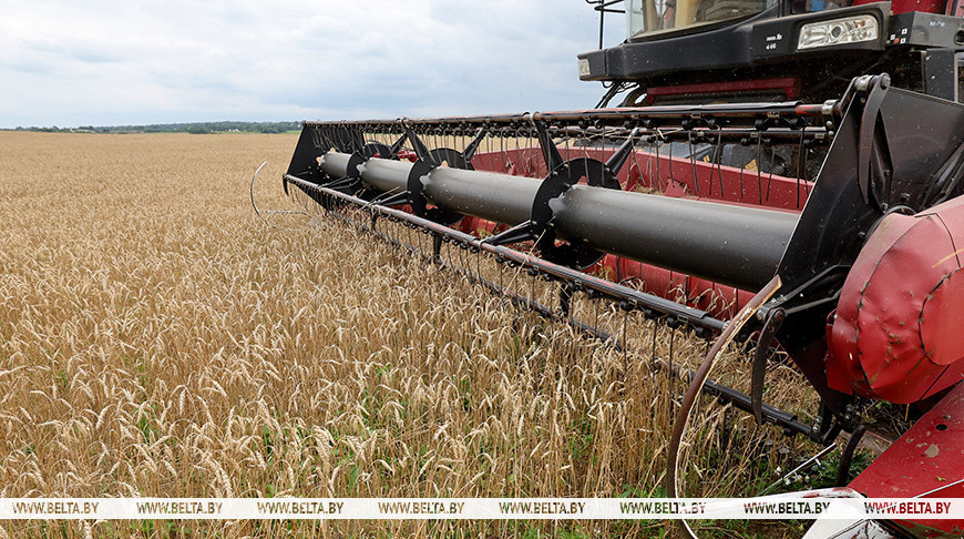 Фото из архива