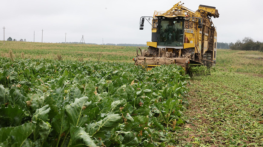 Фото из архива