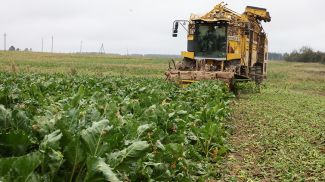 Фото из архива