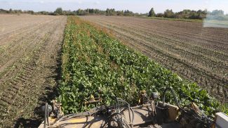 Фото из архива