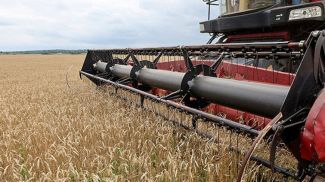 Фото из архива