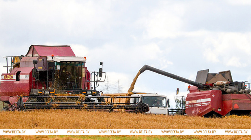 Фото из архива