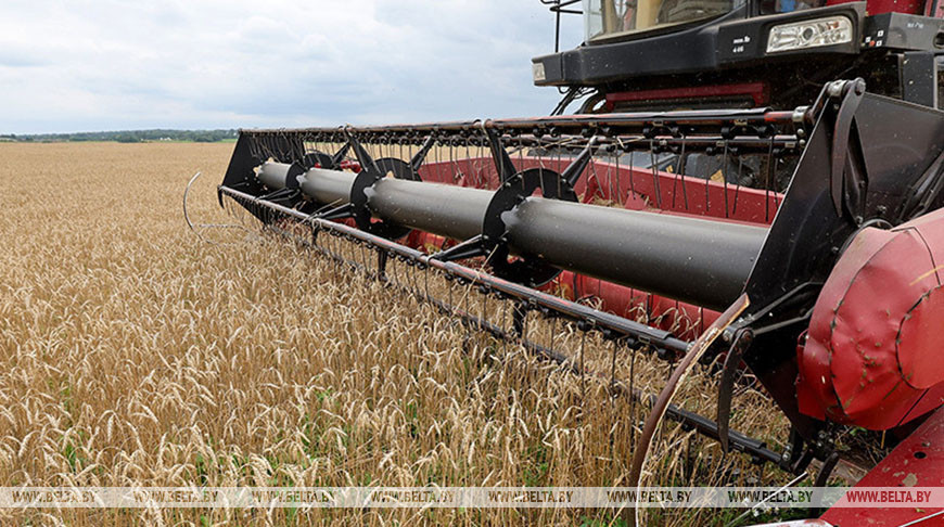 Фото из архива