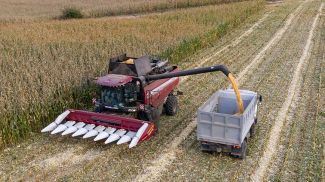 Фото из архива