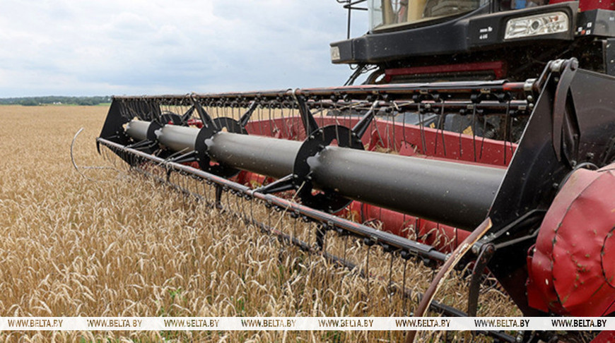 Фото БелТА Фото БелТА