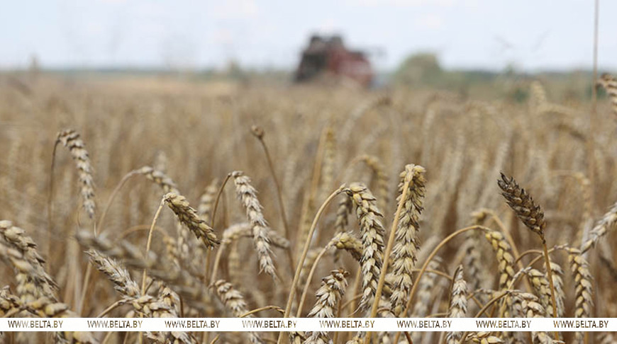 Фото из архива