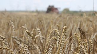 Фото из архива